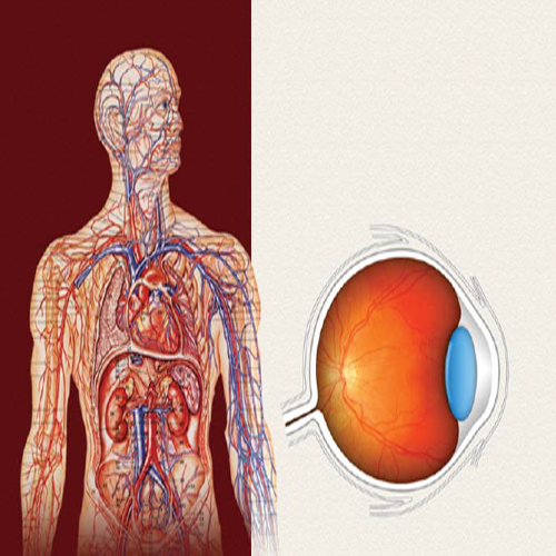 Introduction to Basics in Ophthalmic Assisting 