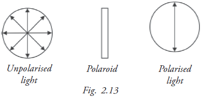 Polarization