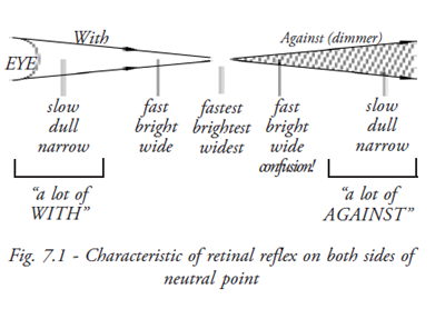  Retinal Reflex  