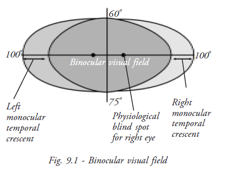 Amsler Grid Visual Field Test: Uses, Procedure, Results